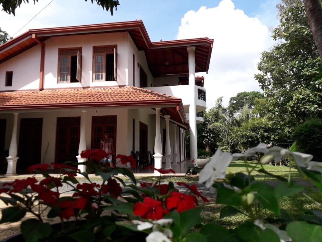 Hotel Blue Point Rest Tangalle Exterior foto