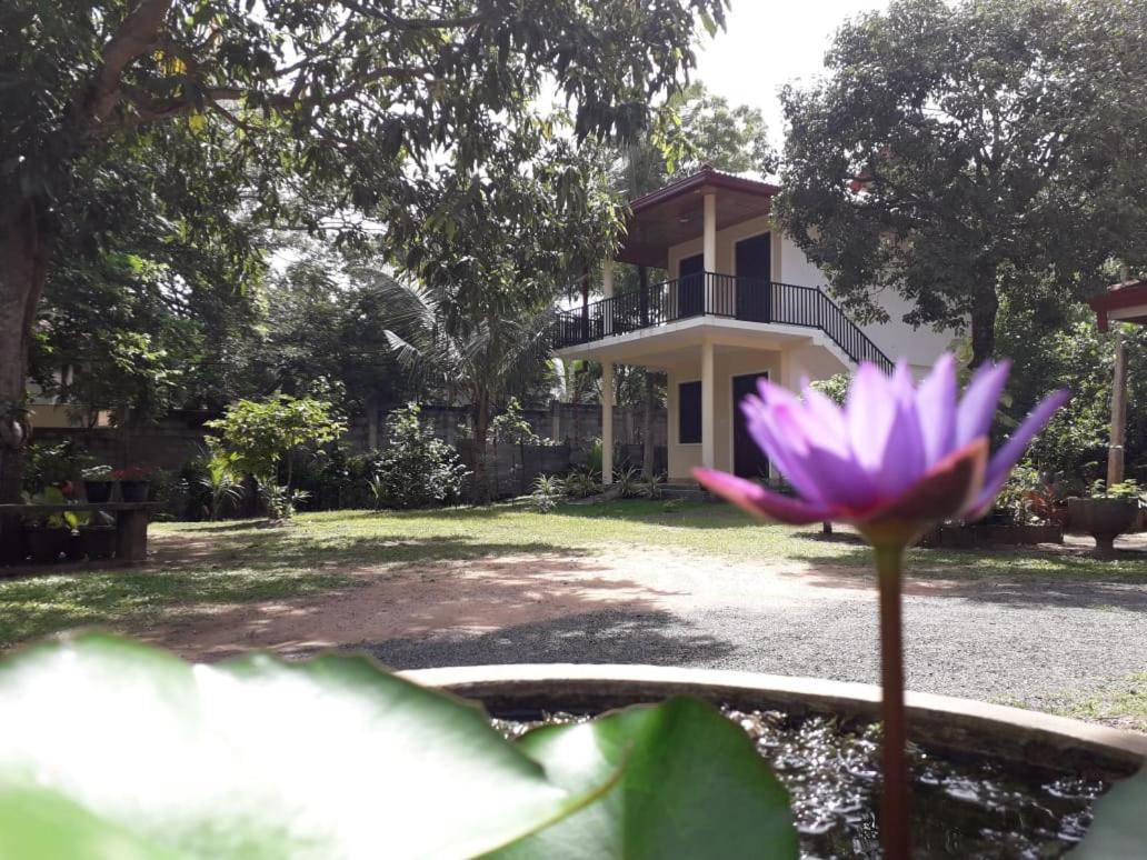 Hotel Blue Point Rest Tangalle Exterior foto